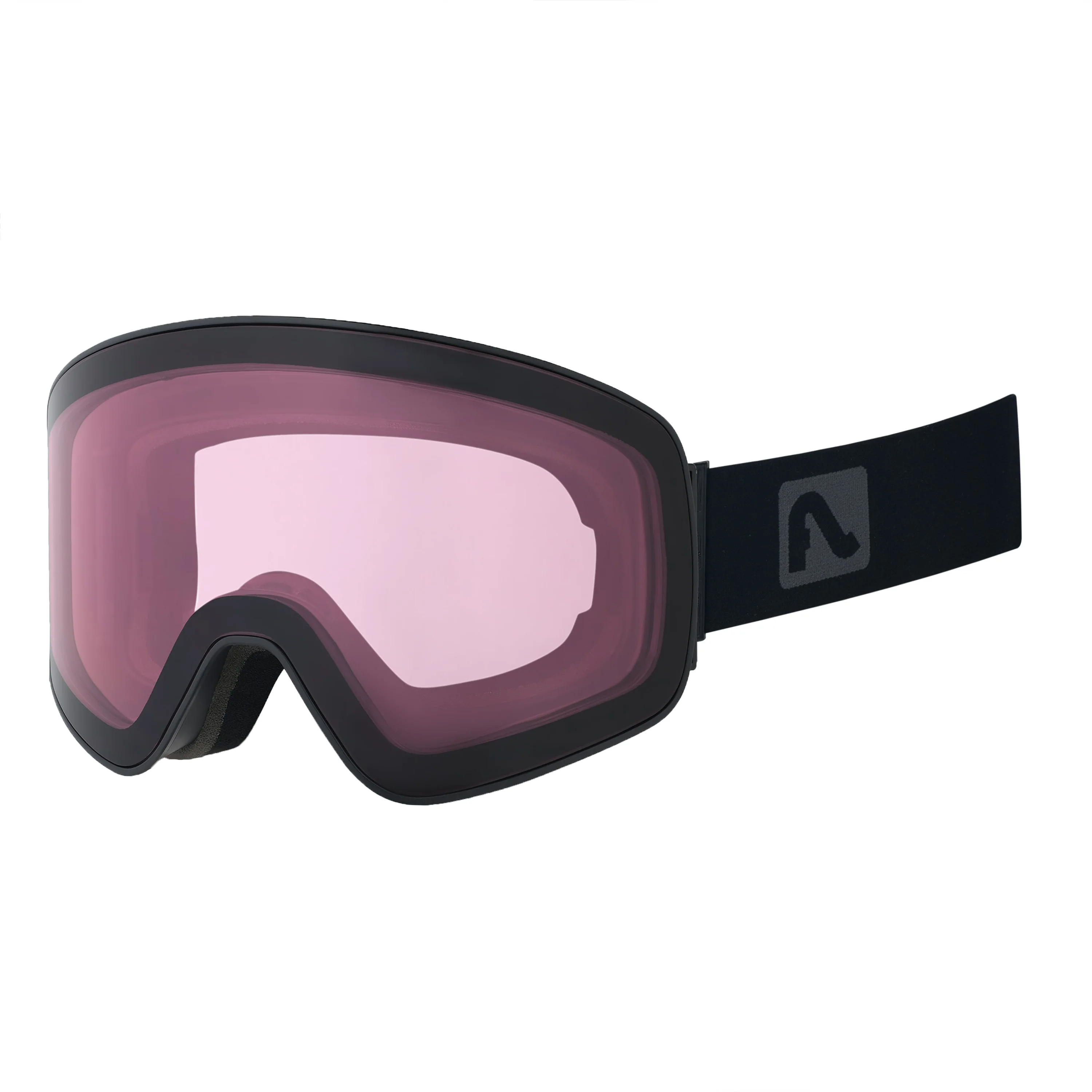 Alpine Switch Goggle - Image 7